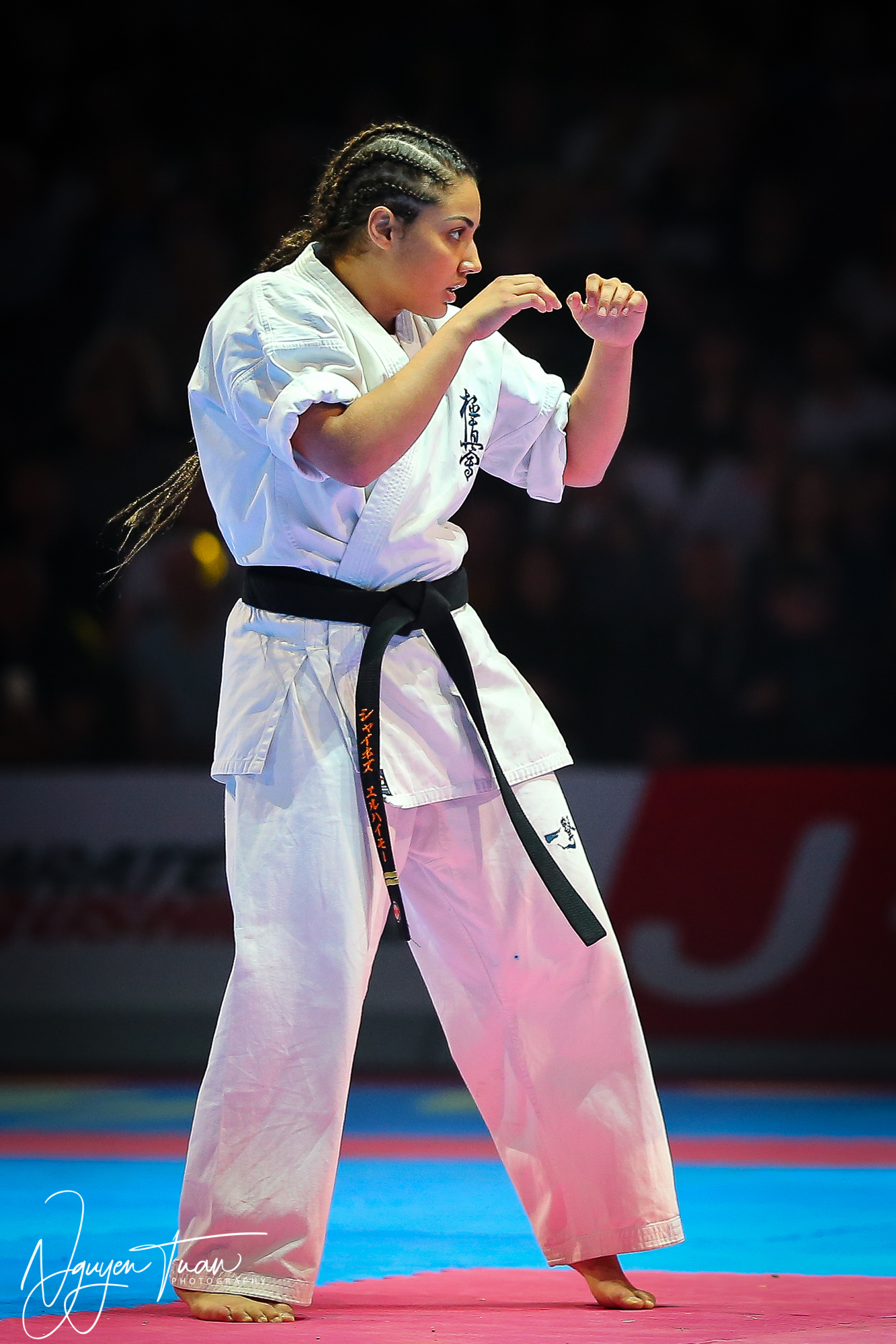 20190324 Festival des Arts Martiaux 6011